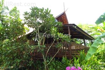Coconut River 2